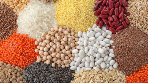 Frozen Foods