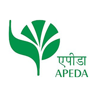 logo4